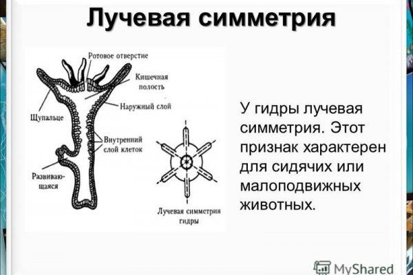 Омг сайт ссылка на гидру onion